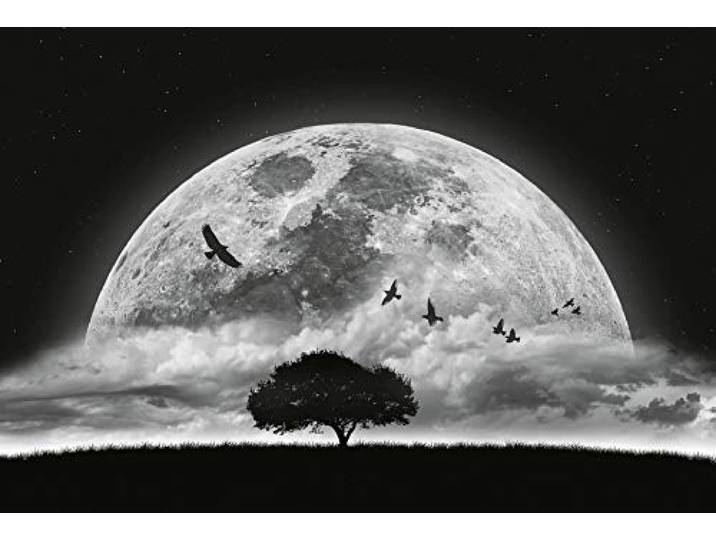 A.S. Création Papier peint - Papier peint Ciel de nuit pleine lune en noir\, blanc et gris - Papier peint mural pour différentes pièces - Papier peint intissé tableau mural XXL 384 x 260 cm