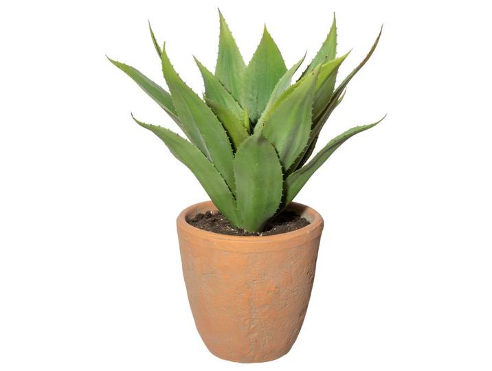Kunstpflanze Sukkulenten Grün/Naturfarben