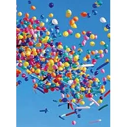 Testballon SmartShunt - 0% MwST. (Angebot gemäß §12 USt Gesetz.)