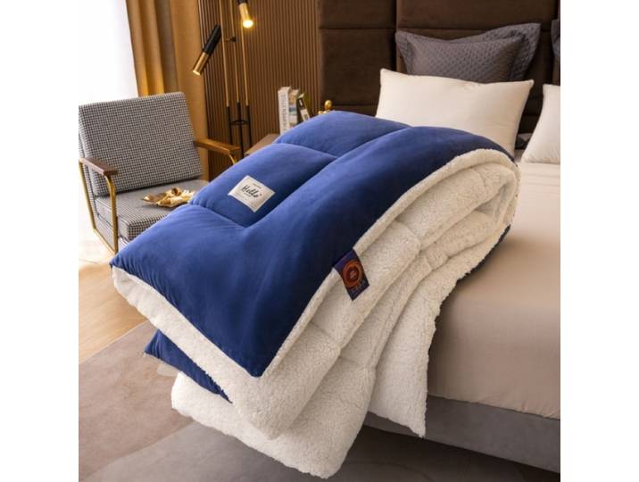 Nouvelle couette d'automne et d'hiver 2025, imitation laine d'agneau, couette épaisse, literie pour dortoir d'étudiant, douce et chaude