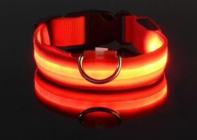 Uplifted Goods LED Night Safety Glow Dog Collar And Leash Set For Night Walks And Outdoor Use red l