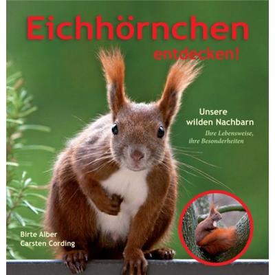 Eichhörnchen entdecken!, Taschenbuch von Birte Alber Carsten Cording, Tredition