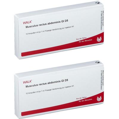 Musculus Rectus abdominis GL D 5 Ampullen 2x 2x10x1 ml