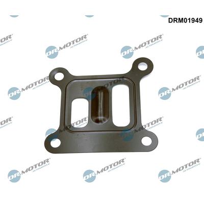 DR.MOTOR AUTOMOTIVE Dichtung, Wasserpumpe drm01949 Motorblock für Ford