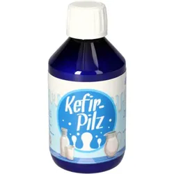 KEFIR Pilz zur Bereitung aus Milch 1 St