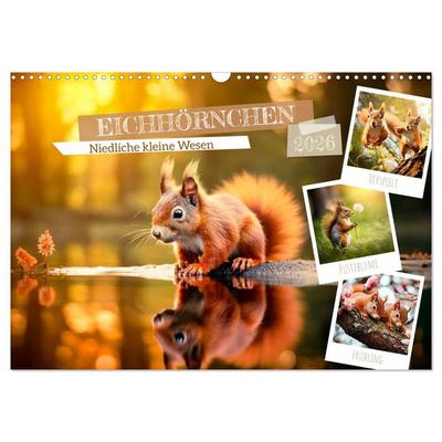 EICHHÖRNCHEN Niedliche kleine Wesen (Wandkalender 2026 DIN A3 quer), CALVENDO Monatskalender