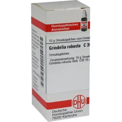 Grindelia Robusta C30 10 G