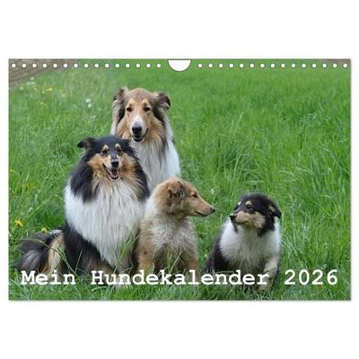 Mein Hundekalender 2026 (Wandkalender 2026 DIN A4 quer), CALVENDO Monatskalender