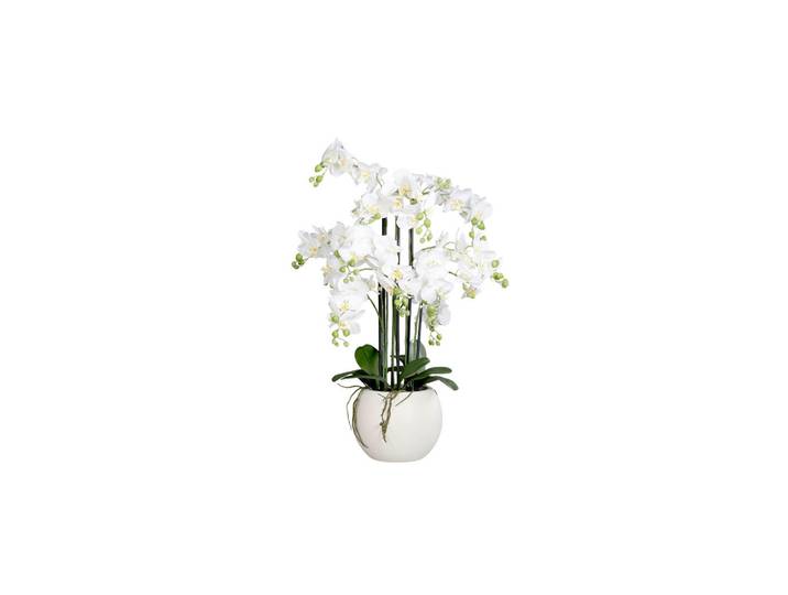 Orchidee, Grün, Weiß, 80 cm, inkl. Topf, Dekoration, Blumen & Blumentöpfe, Kunstblumen