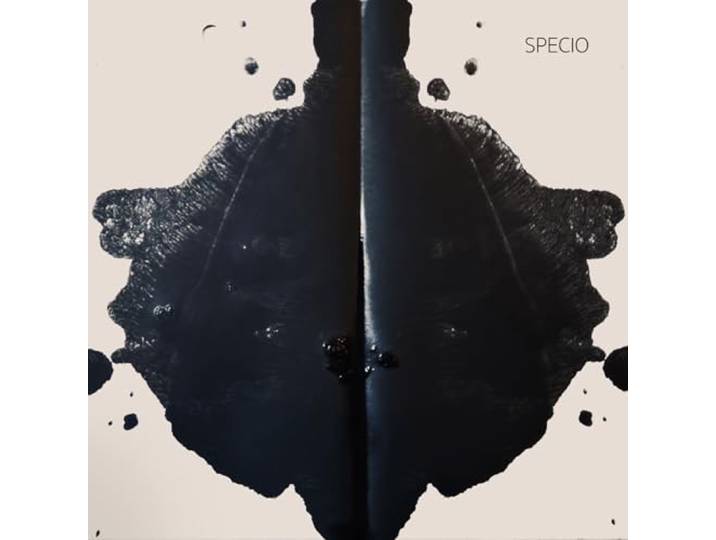 S/T