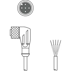 Leuze Anschlussleitung KD U-M12-5W#50133848