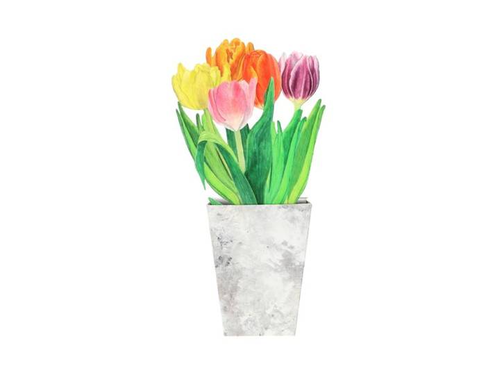Kaart 3D met envelop, tulpen