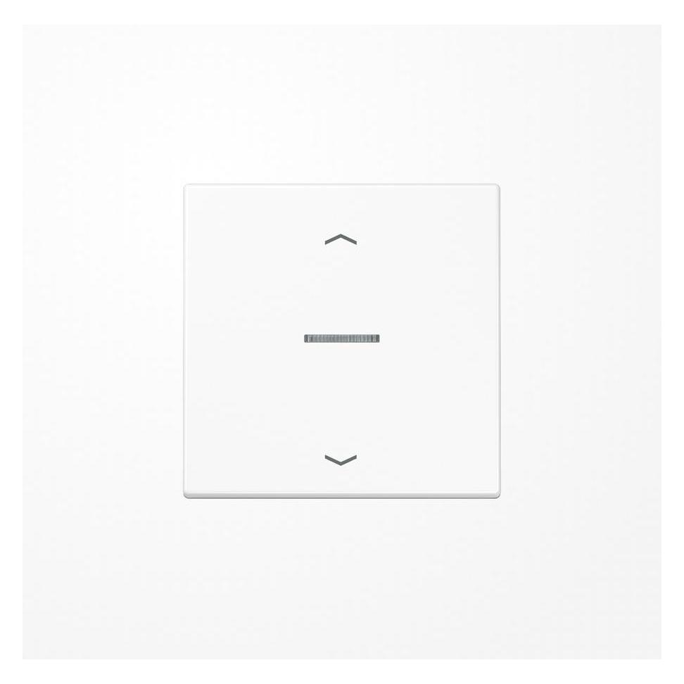 JUNG Wippe 2t Jalousie LS aws glz Pfeile LS101KO5PWW (LS101KO5PWW)