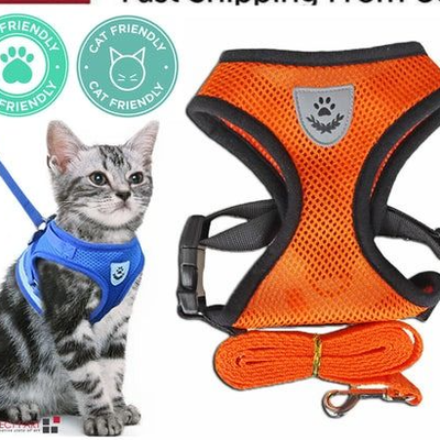 The Cart Load Adjustable Cat Dog Harness, Reflective Control Vest, Leash For Dogs, Pet Safety orange m