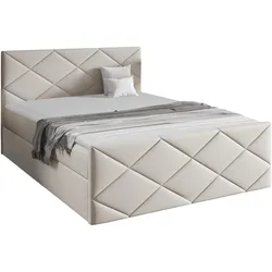 BOXBETT Herkules - H3