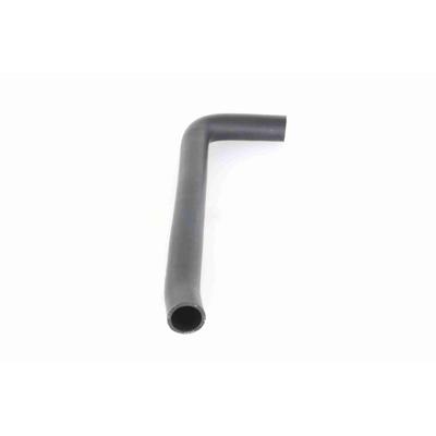 VAICO Kühlerschlauch Original Qualität V24-1172 oben für Fiat