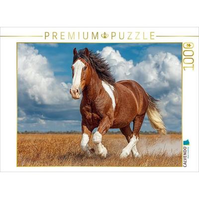 CALVENDO Puzzle Kraftvolles Clydesdale-Pferd in Bewegung | 1000 Teile Lege-Größe 64x48cm Foto-Puzzle für glückliche Stunden