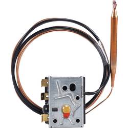 Jumo 60002994 Temperaturbegrenzer -20 bis 145 °C