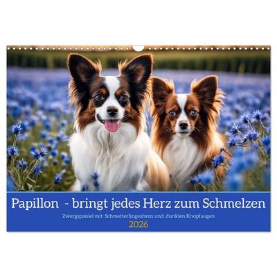 Papillon - bringt jedes Herz zum Schmelzen (Wandkalender 2026 DIN A3 quer), CALVENDO Monatskalender
