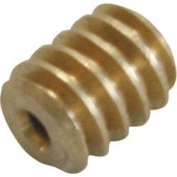 Sol Expert S3 Messing Micro-Schnecke Modul 0.3 (Ø x L) 3 mm x 5.5 mm 1 St.