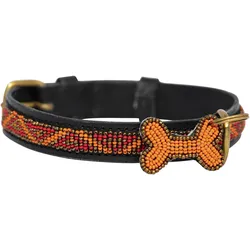 Kampuni Hundehalsbånd Skinny Kabaka neon medium, 53x2,1 cm (Hund), Halsband + Leine