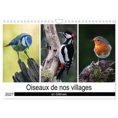 Oiseaux de nos villages en Gâtinais (Calendrier mural 2027 DIN A4 vertical), CALVENDO calendrier mensuel