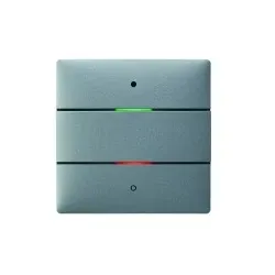 Theben 4802412 LUXORliving-Tastsensor mit 2 Tasten und 2 Status-LEDs, integrierter Temperatursensor, Farbe silber LUXORliving iON2 SR