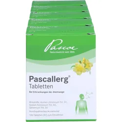 Pascallerg 500 ST
