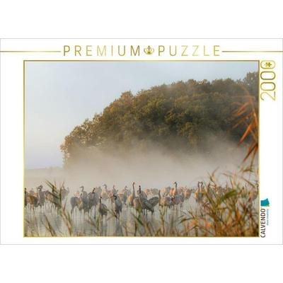 CALVENDO Puzzle Kraniche am Schlafplatz im Morgennebel | 2000 Teile Lege-Größe 90 × 67 cm Foto-Puzzle für glückliche Stunden