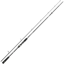 Daiwa Prorex S Spin 2.70m 50-110g Spinnrute