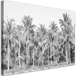 WANDBILD palmen im dschungel grau