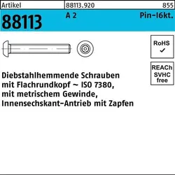 Schraube R 88113 diebstahlh. Innen-6kt Zapfen M4x 12 A 2 100 Stück