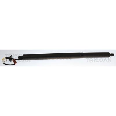 TRISCAN 8710 14302 für NISSAN