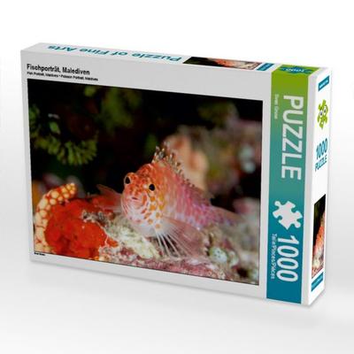 CALVENDO Puzzle Fischporträt, Malediven 1000 Teile Puzzle quer | 1000 Teile Lege-Größe 64 × 48 cm Foto-Puzzle für glückliche Stunden