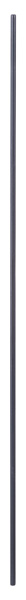 Bosch Führungsstange für Bosch-Oberfräsen,10 x 800 mm 2609200145