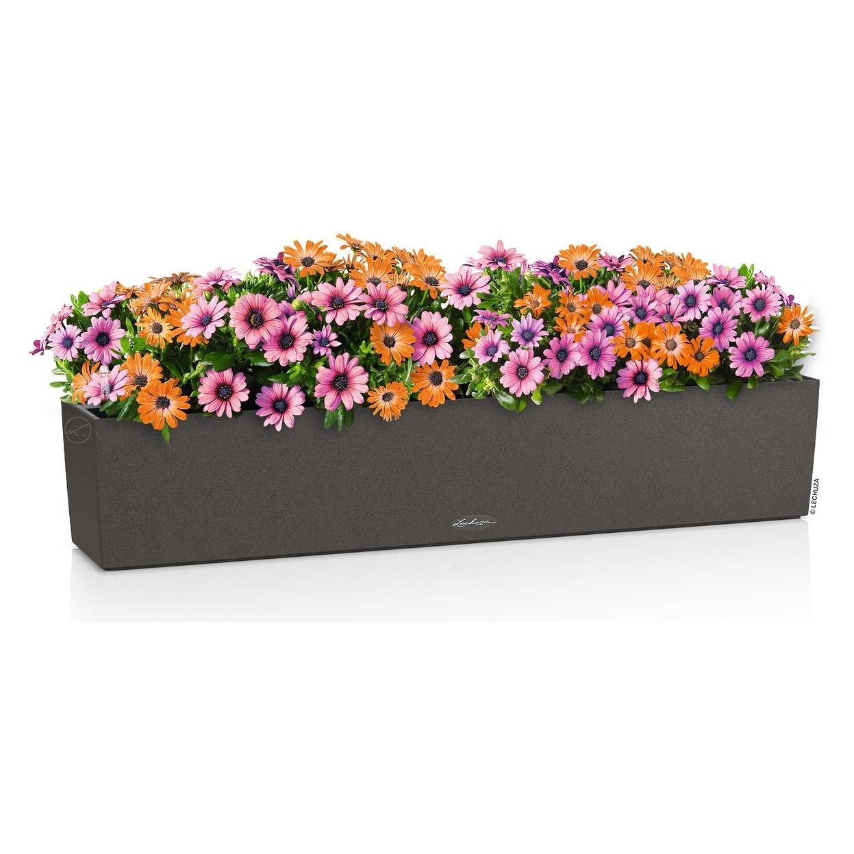 Lechuza BALCONERA Stone 100 (99 x 19 x 19 cm) (4008789154361)