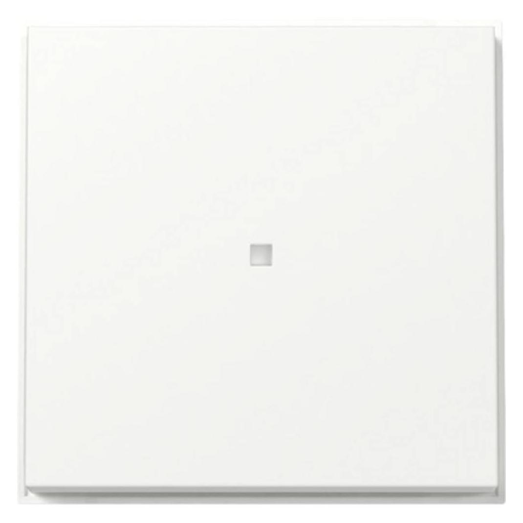 Gira Wippe Kontrollf. (329066)