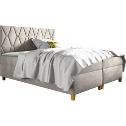 BOXBETT Inez - H3