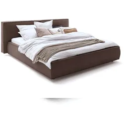 KAWOLA Bett CARLO Polsterbett Stoff braun 200x200cm