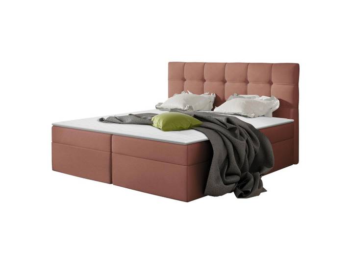 BOXBETT Nele - H3