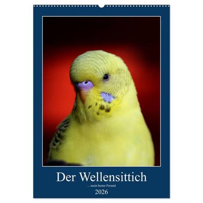 Der Wellensittich - mein bester Freund (Wandkalender 2026 DIN A2 hoch), CALVENDO Monatskalender