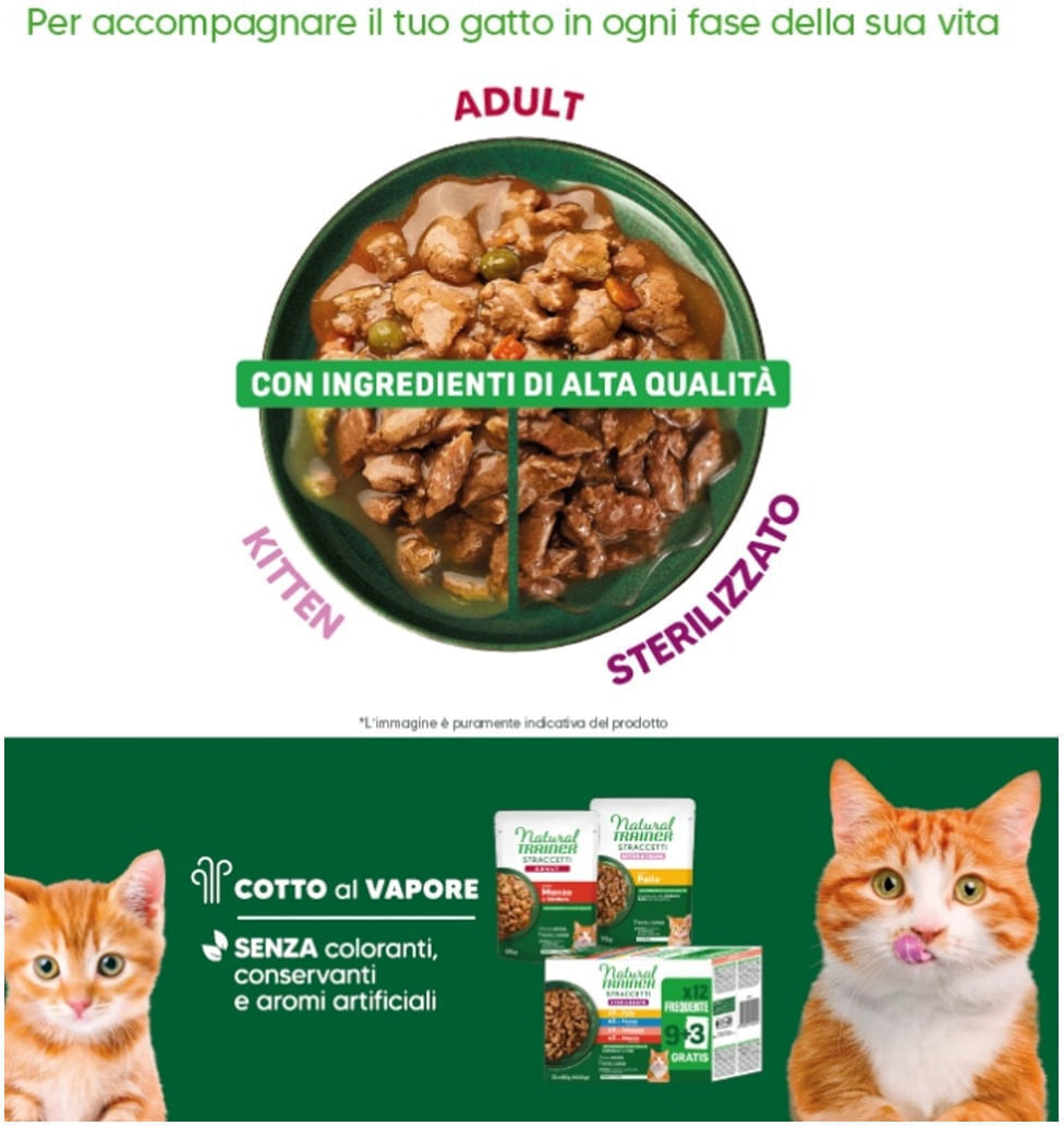 Natural Trainer Straccetti Cat Busta Multipack 22x85G MERLUZZO