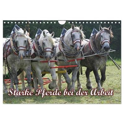 Starke Pferde bei der Arbeit (Wandkalender 2027 DIN A4 quer), CALVENDO Monatskalender