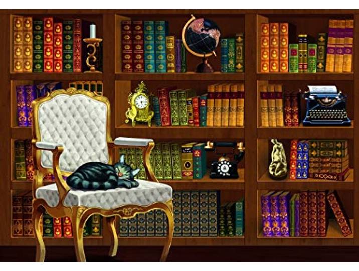 Bluebird DE VINTAGE BIOTHEEK 1000 STUK JIGSAW PUZZEL