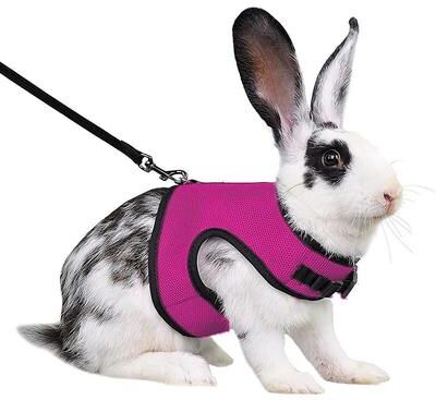 Pet Hub Adjustable Soft Harness & Elastic Leash For Rabbits Bunny Vest Suit XL 1