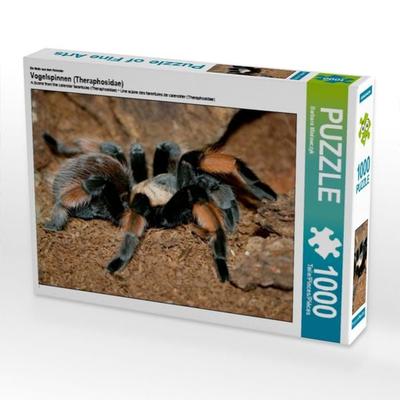 CALVENDO Puzzle Mexikanische Rotknie-Vogelspinne | 1000 Teile Lege-Größe 64x48cm Foto-Puzzle für glückliche Stunden