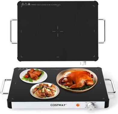 1/2/3/4pcs Electric Warming Tray with Adjustable Temperature Control