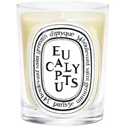 190g diptyque Eucalyptus Classic Candle