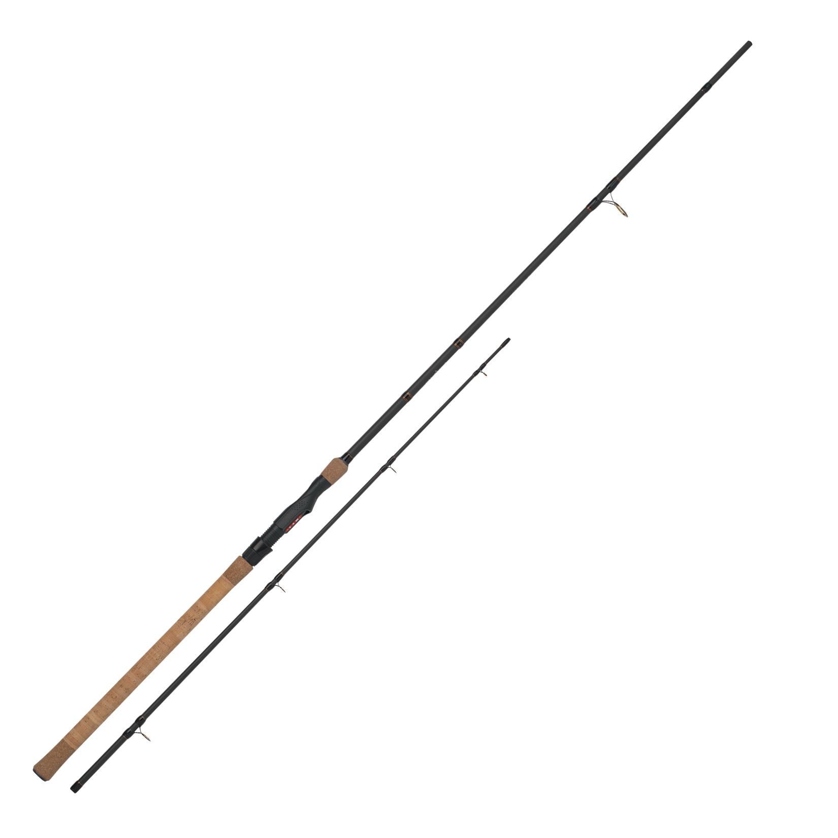 WFT Lake'N'River GIII LTC Aal Feeder bis 200g 2,70m 2pcs. Aal-Feederrute
