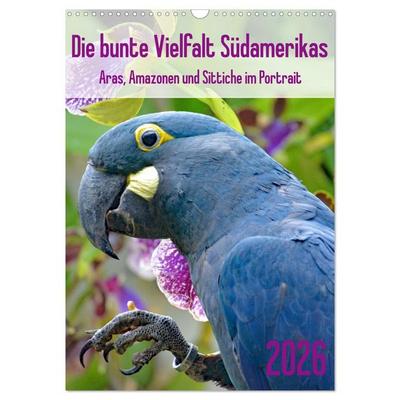 Die bunte Vielfalt Südamerikas - Aras, Amazonen und Sittiche im Portrait (Wandkalender 2026 DIN A3 hoch), CALVENDO Monatskalender